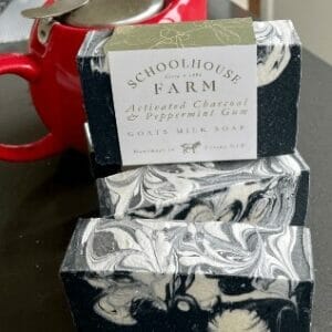 Activated Charcoal & Peppermint Gum - 5 Pack
